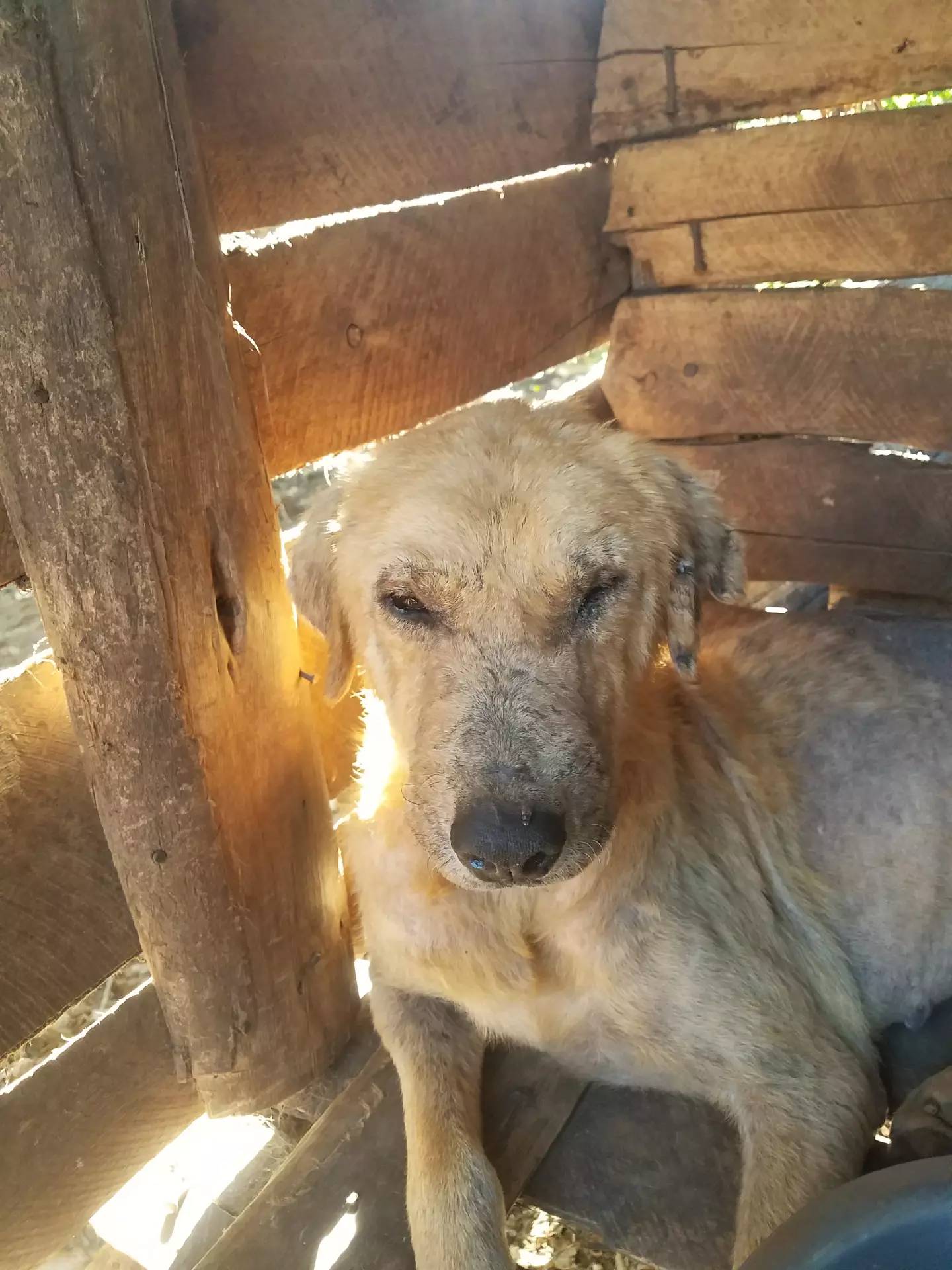 Feed and Heal the Forgotten