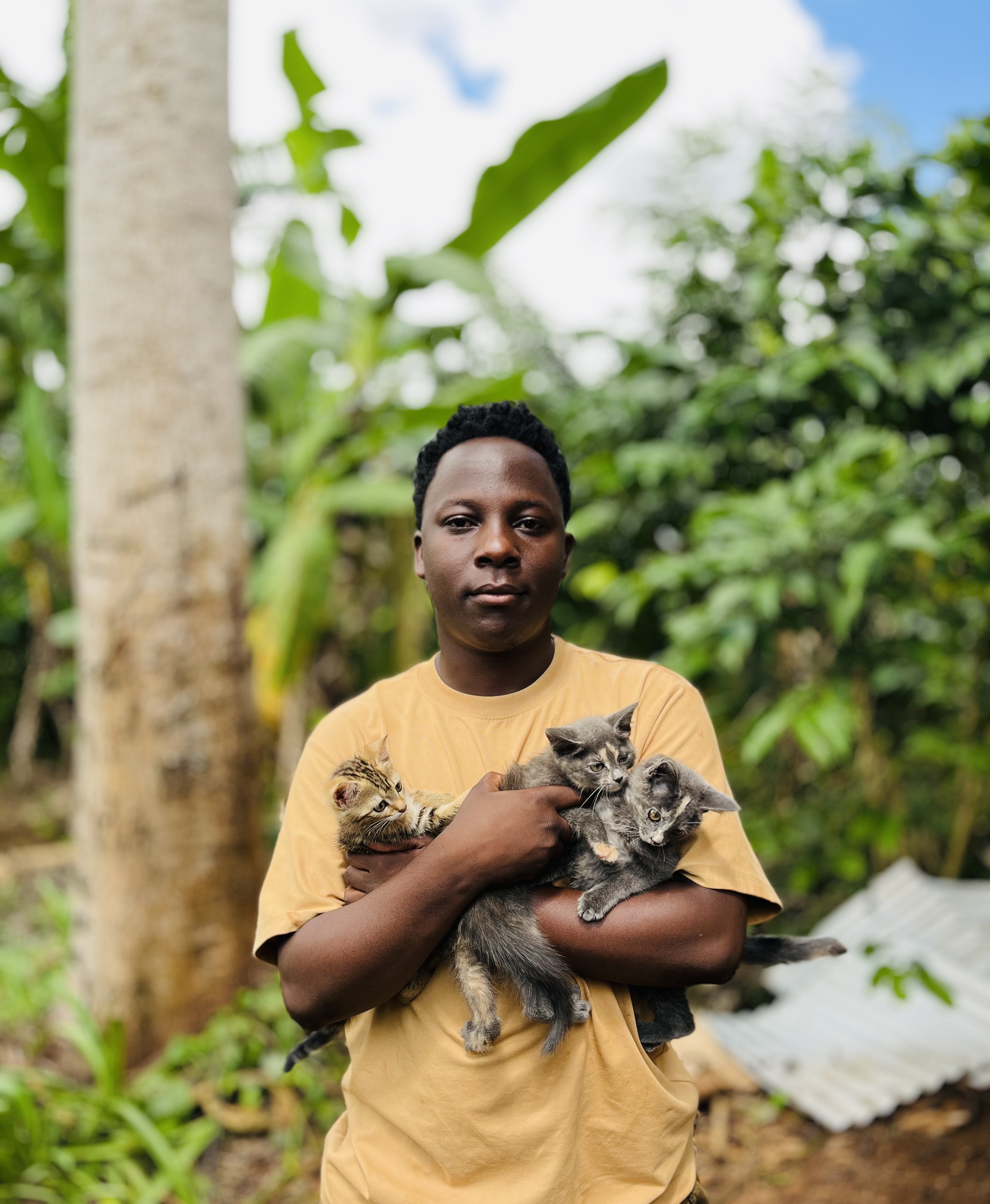 Help Kenneth's Cats Pay for Food and Rent Bills