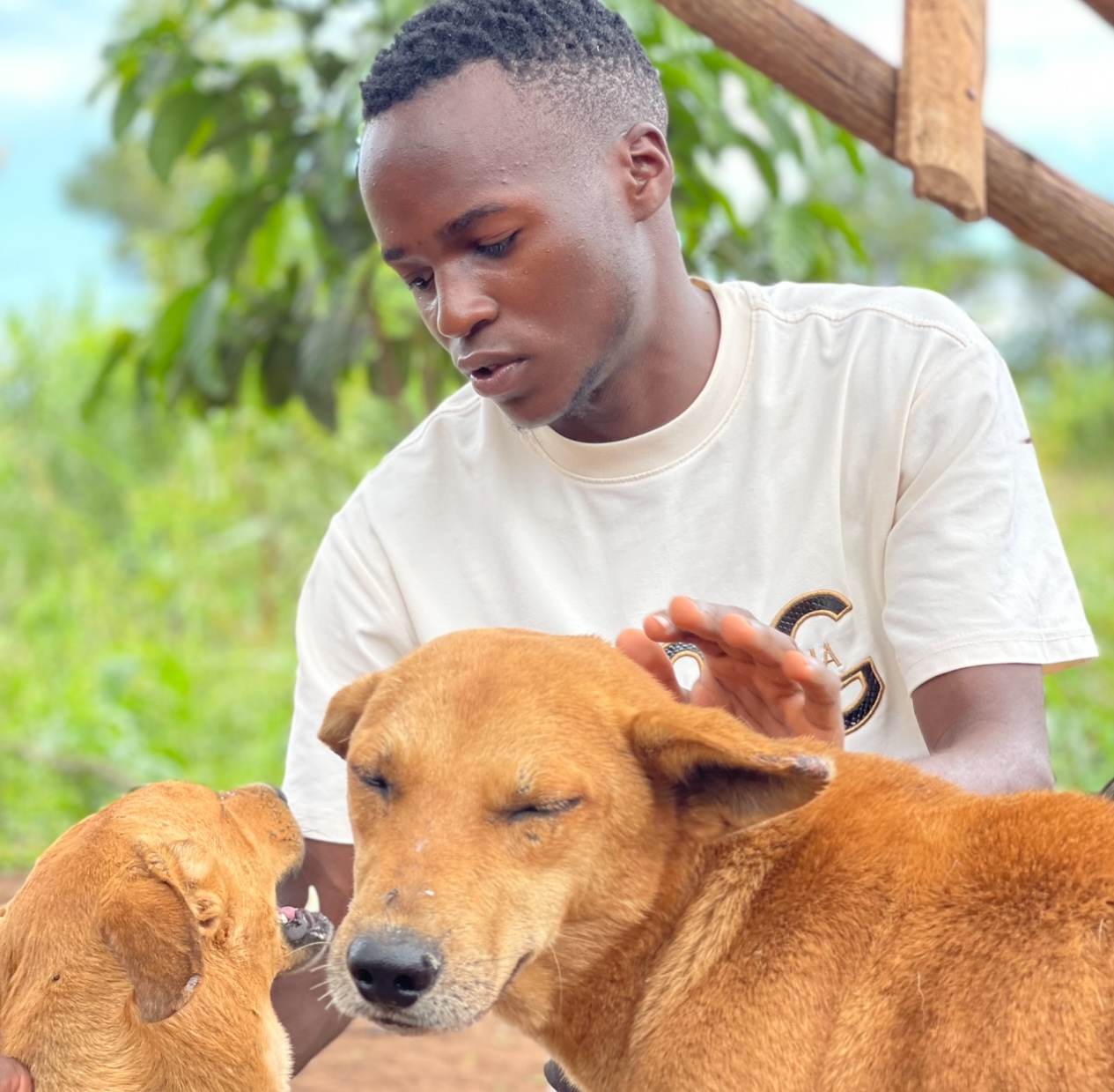 Give Hope, Save Lives  Support Nicholas Pet Sanctuary Today