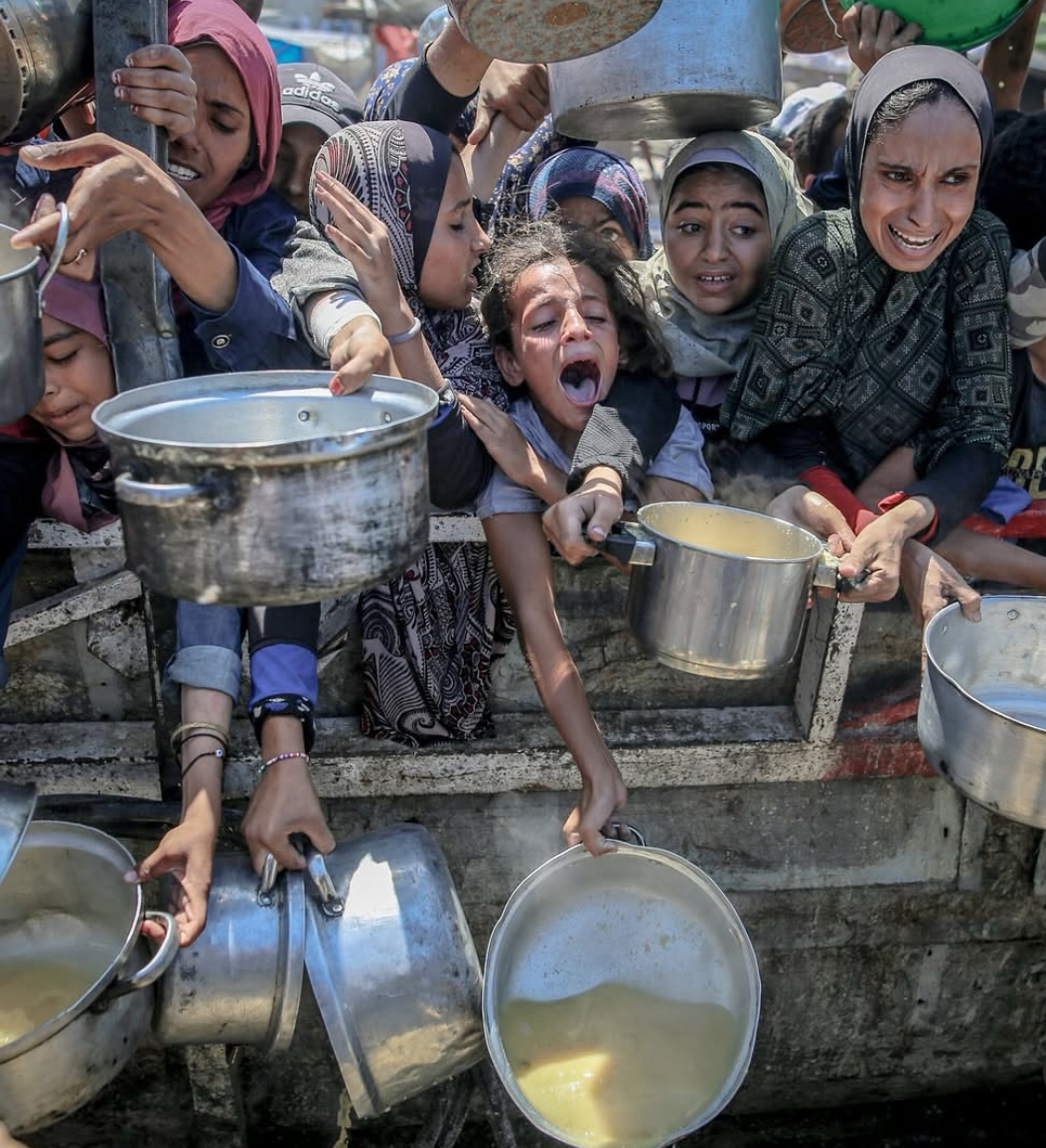 FOOD,MEDICAL AND SHELTER CAMPAIGN 