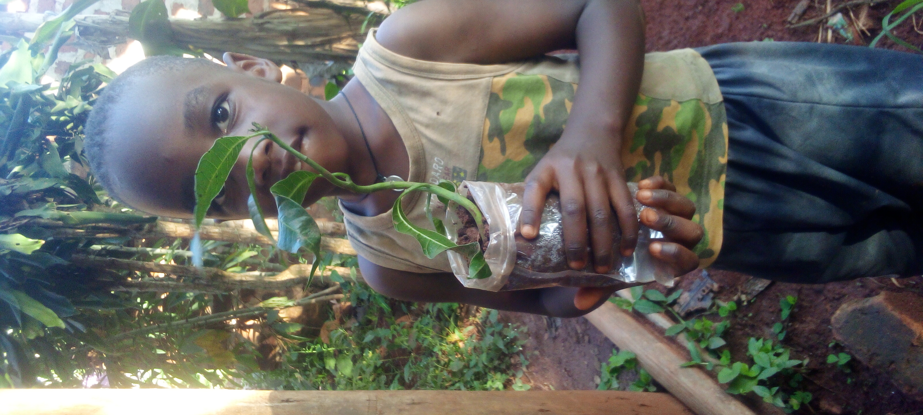 Sustainable Living every home in my community