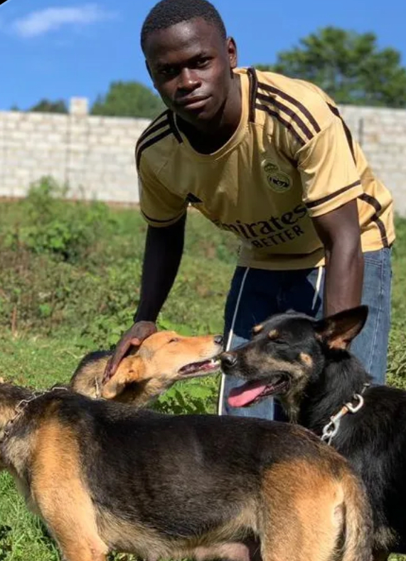 Lutaaya dogs shelter 