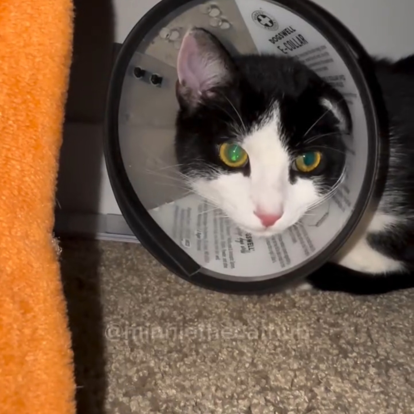 HELP OUR LITTLE FIGHTER LIAM ESCAPE CANCER 