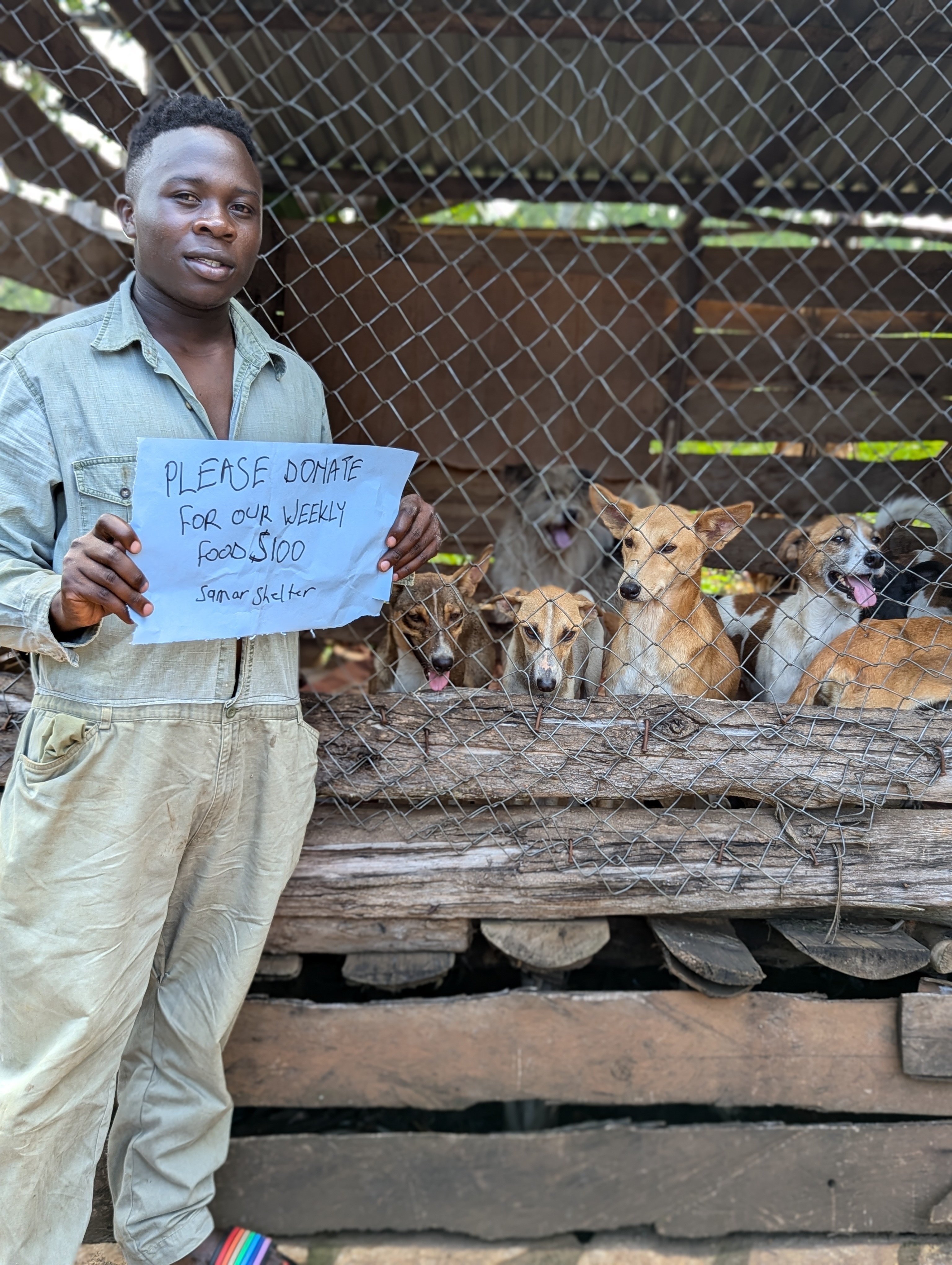 Raising for a new shelter construction 