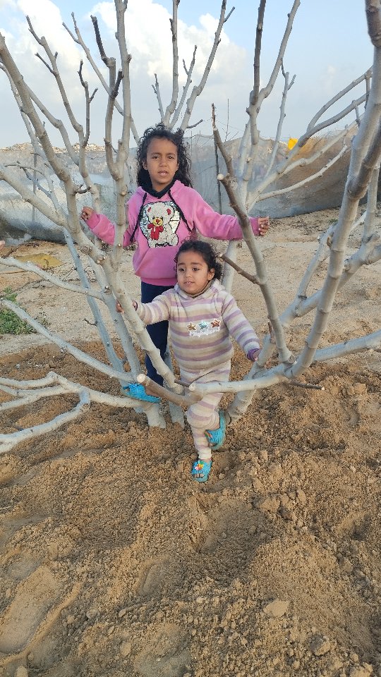 Education and food for gaza, s future