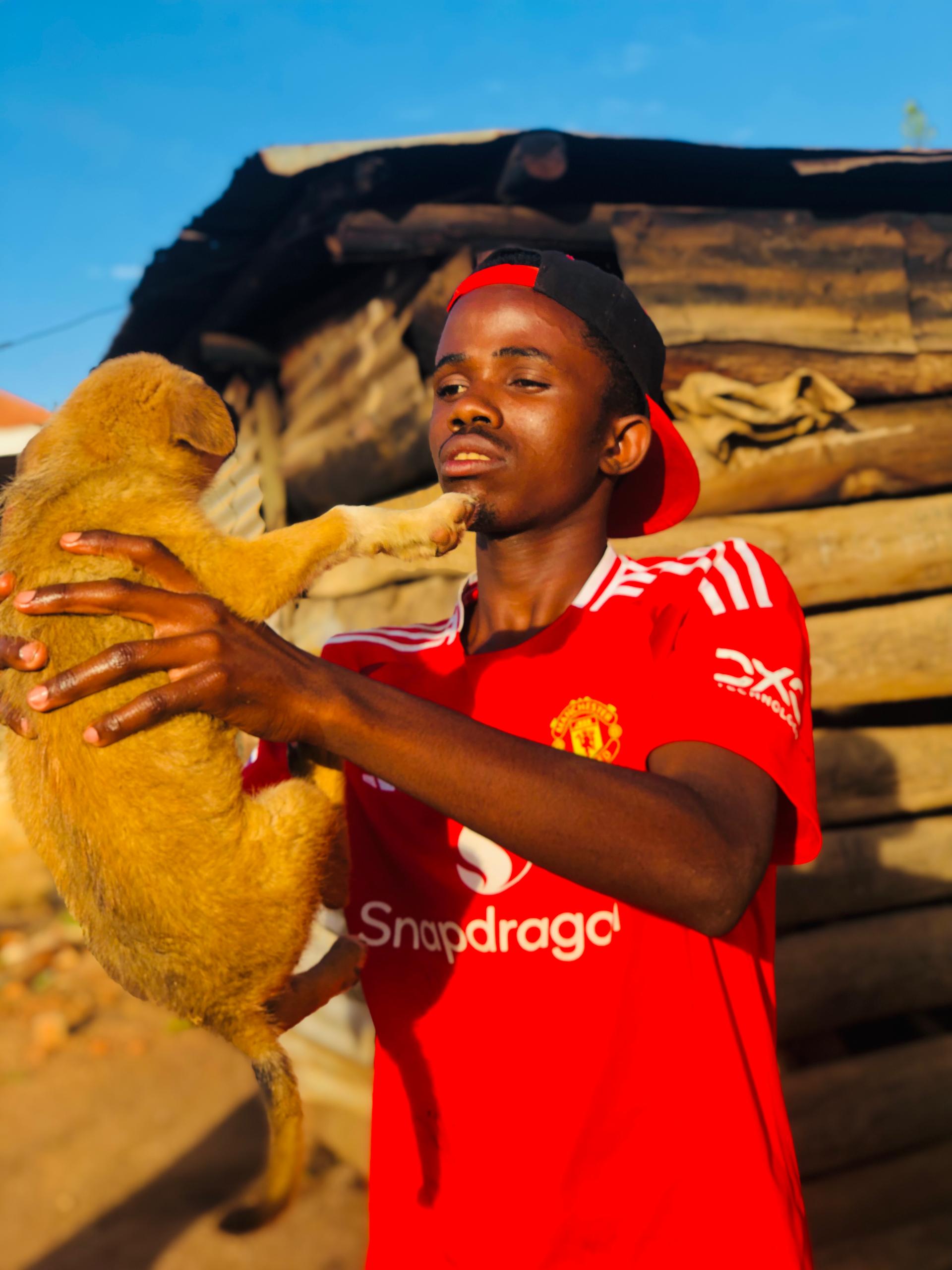 Please friends join my work to save more than 1000 dogs on Uganda streets 