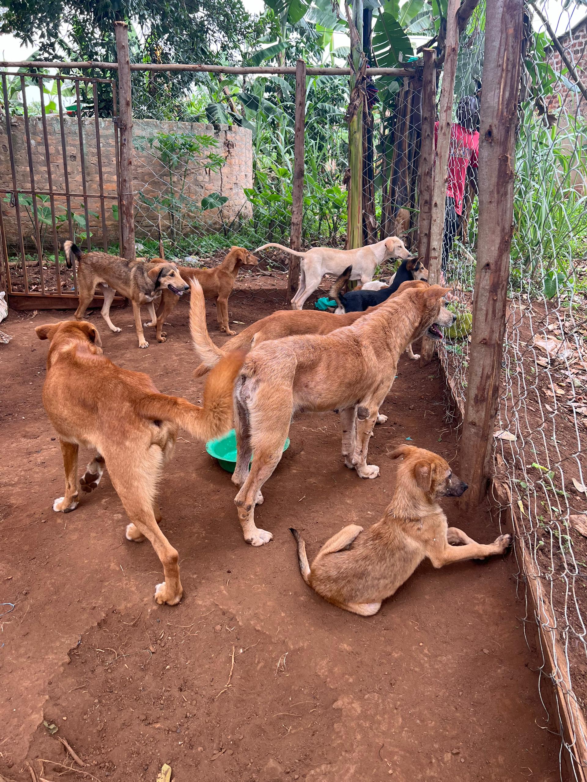 To buy food for the month of July 