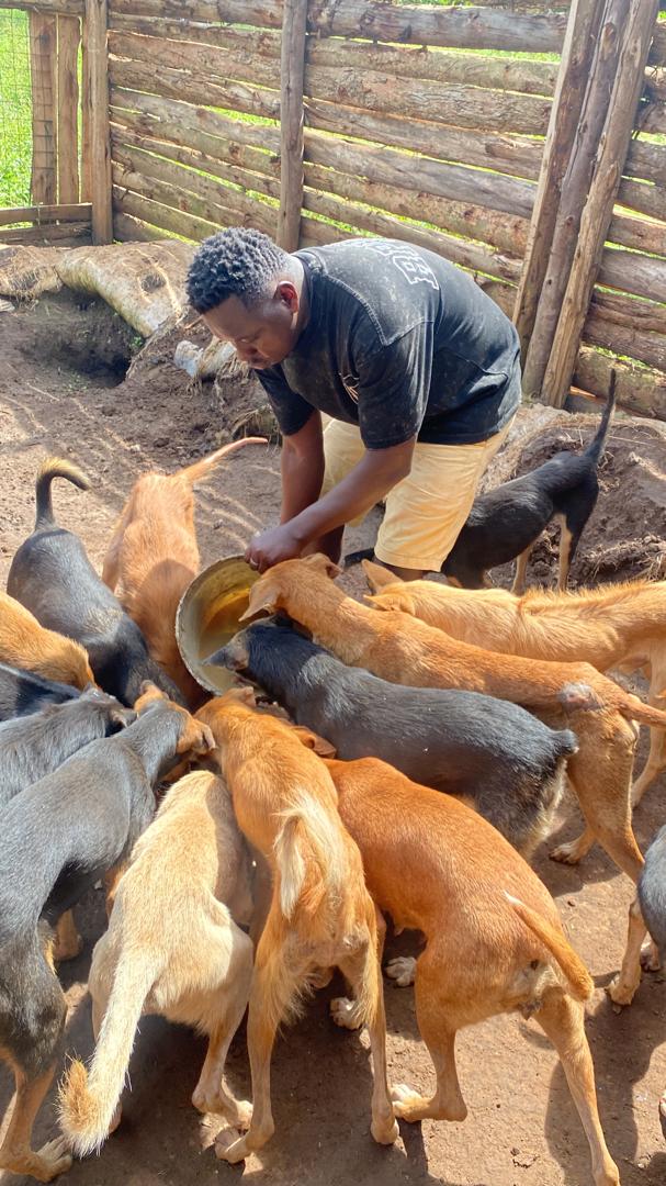 SAVE DOGGIES RESCUE SHELTER 