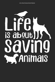 SAVE CATS RESCUE SHELTER 