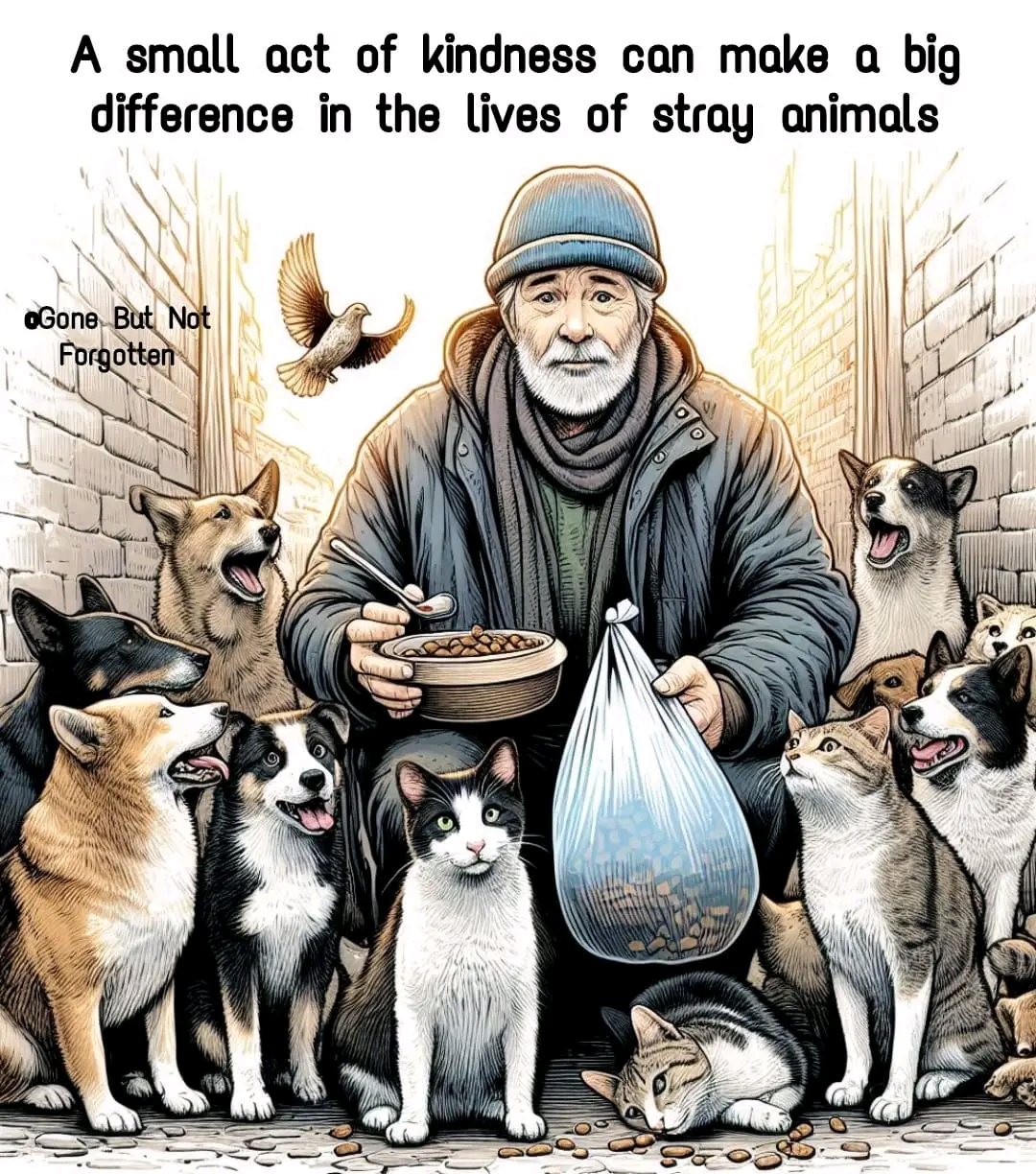 NEW SHELTER CONSTRUCTION 