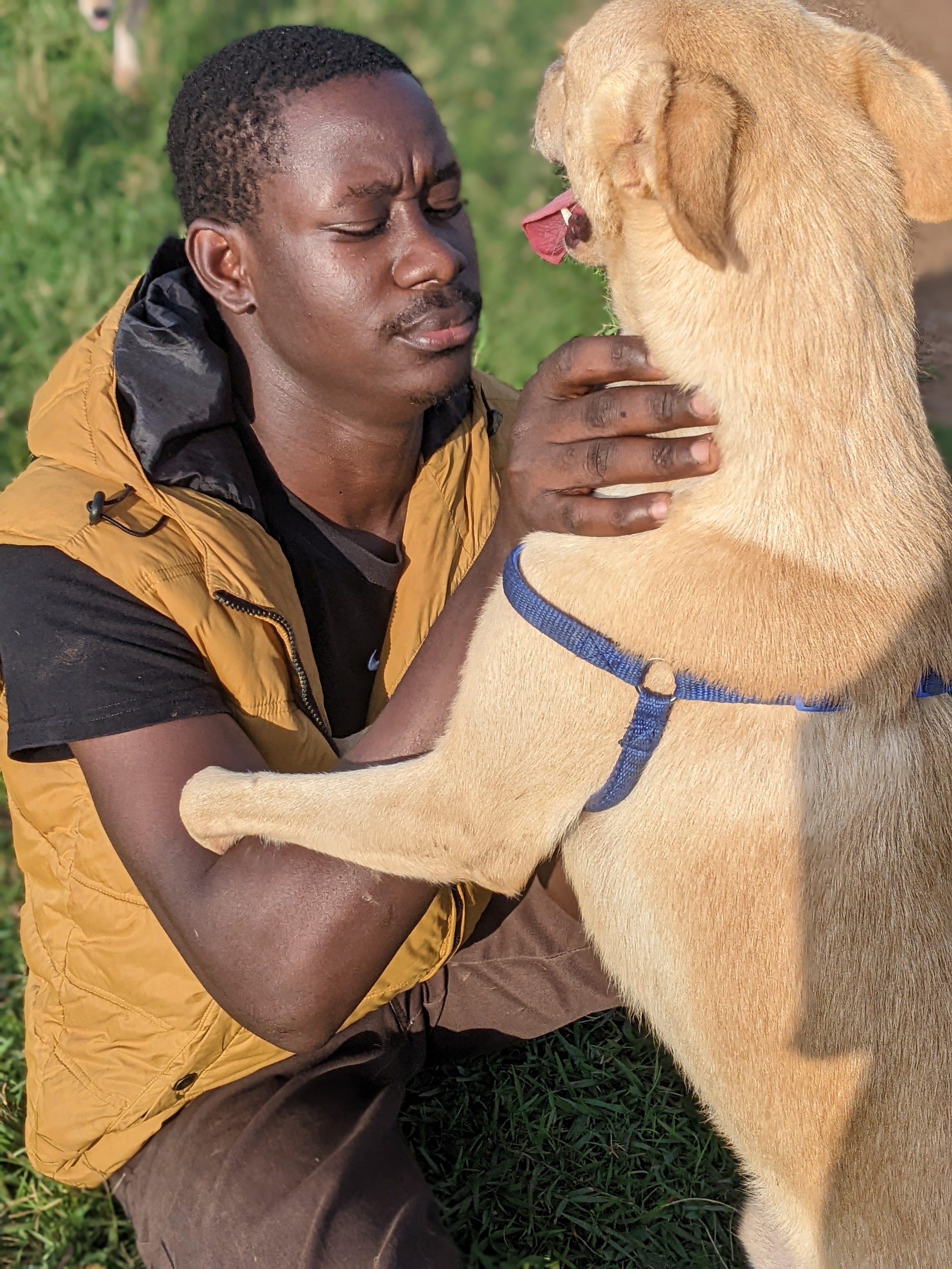 Feed our Furry friends 