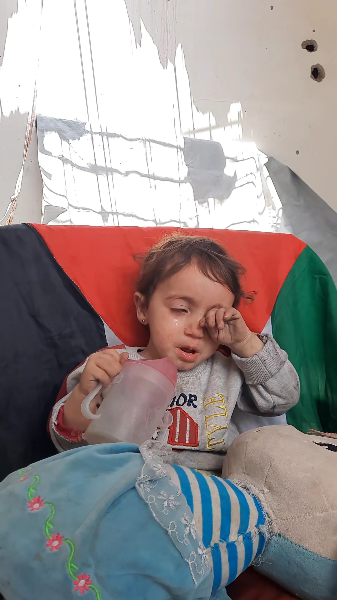 Help Ahmed family in gaza