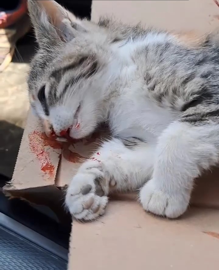 URGENT HELP FOR RUBEN