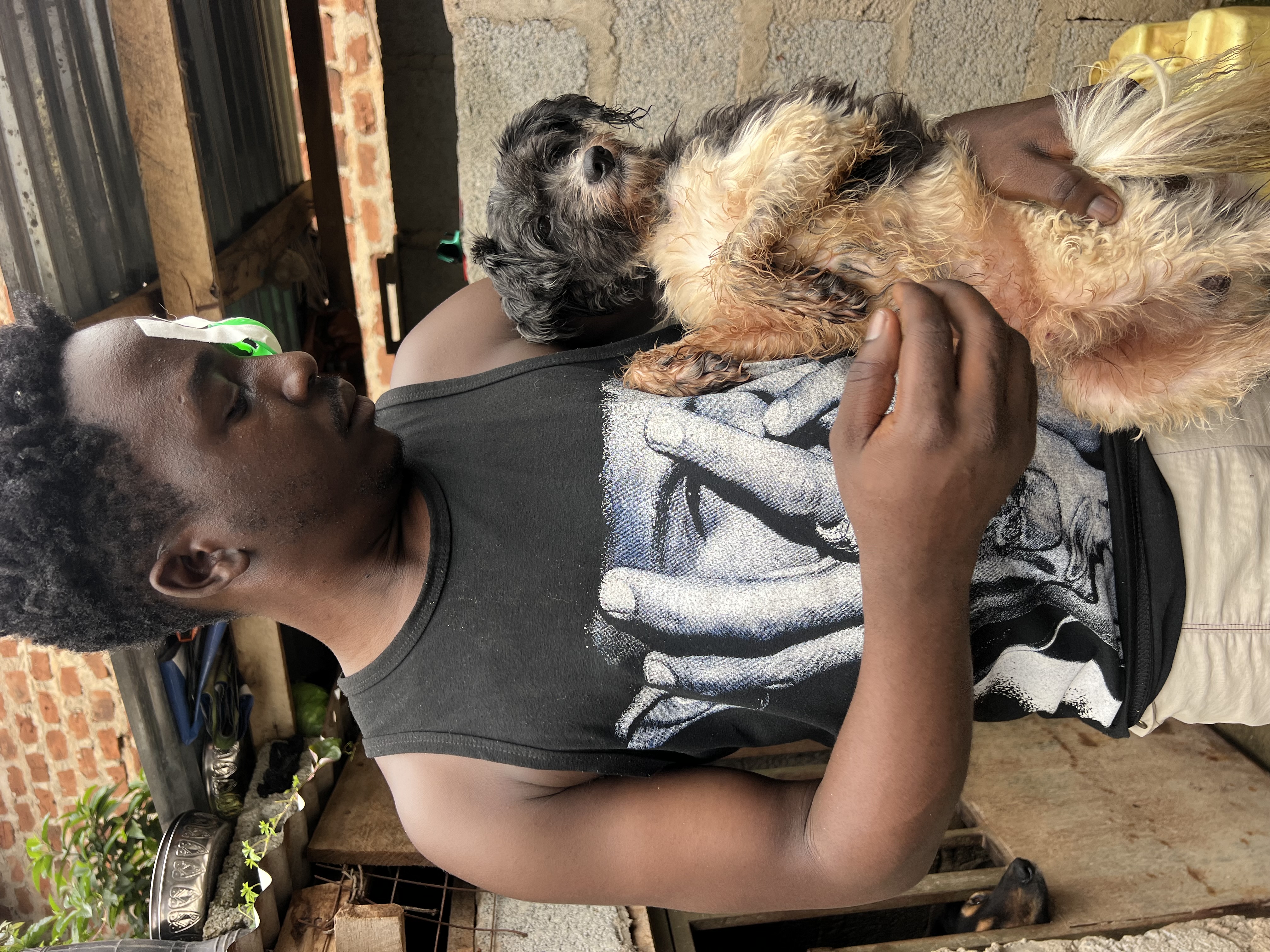 Help Poppy And Max Visit The Vet A Soon As Possible 