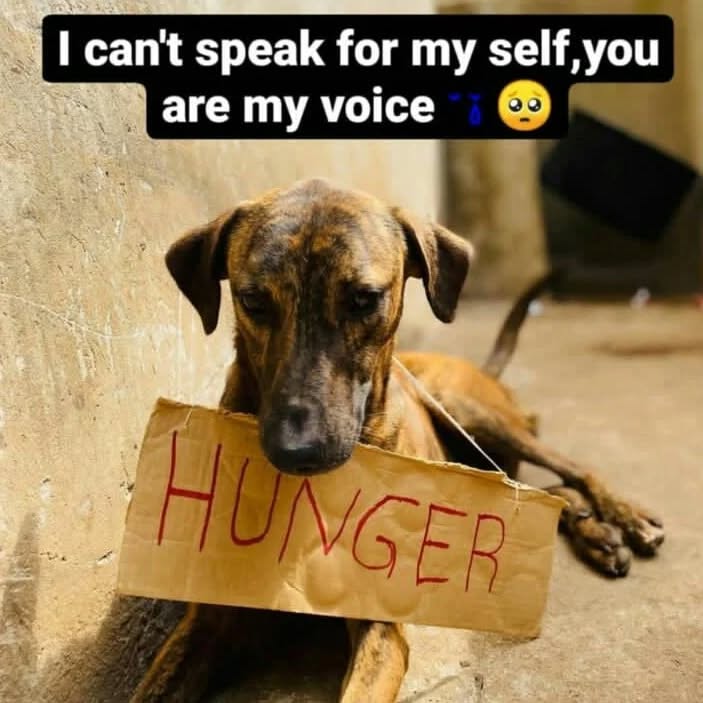 Please donate for food please 