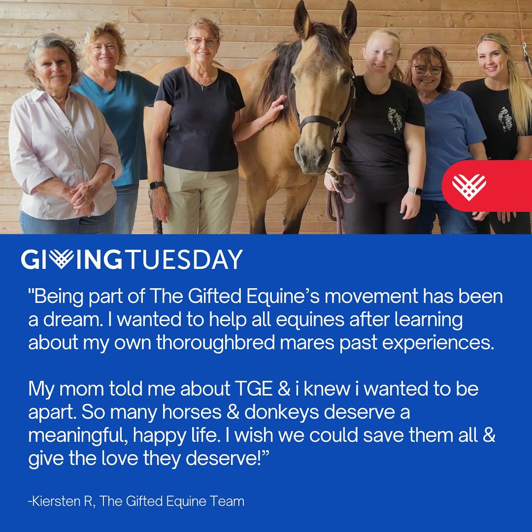 THE GIFTED EQUINE TEAM