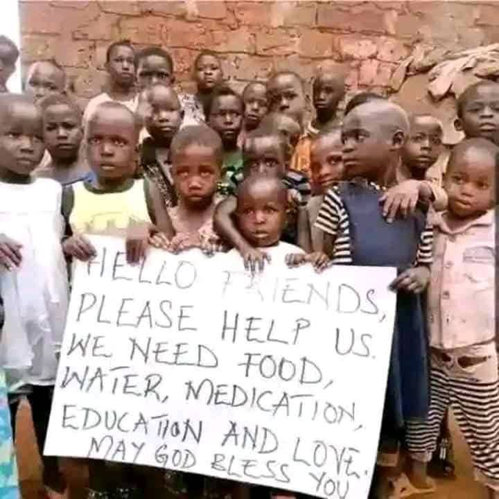 Help Grounded Community grow more than just food 