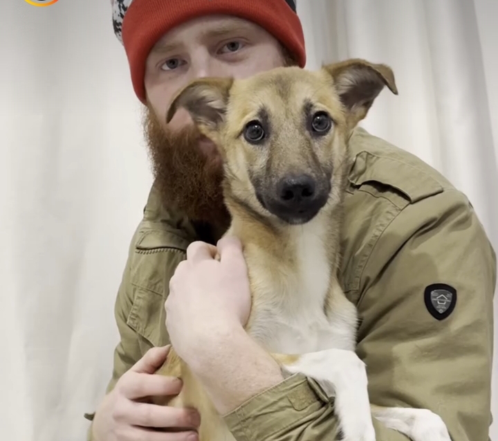 Rescue, Rehabilitate,Rehome Help animal.terra1