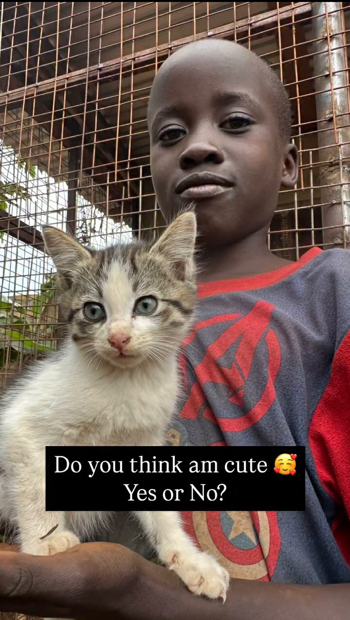 BE THIER HERO _ lets save the innocents 