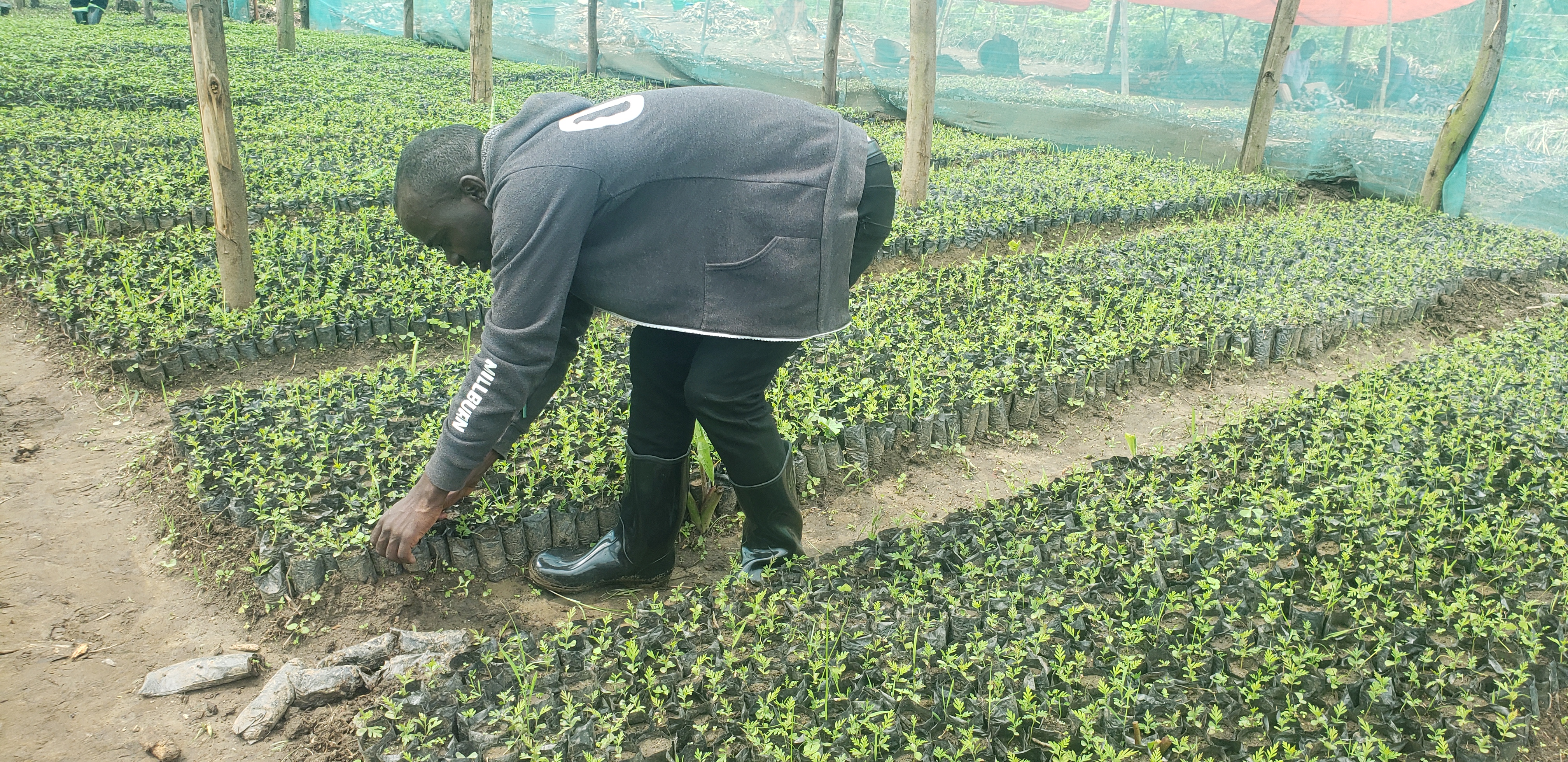 Help Us Fight Climate Change, Hunger, and Poverty in Western Uganda