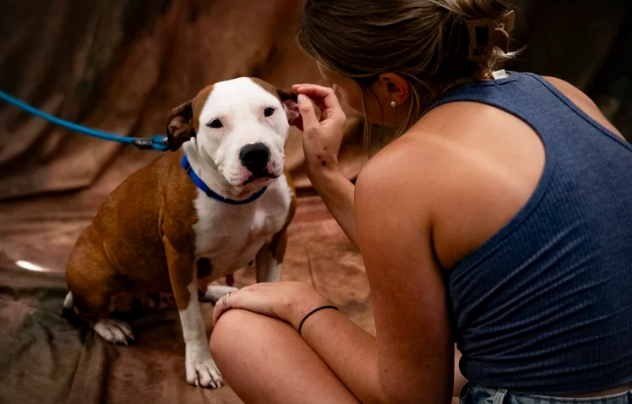 Giving is not just about making adonation.     It is about making a difference 