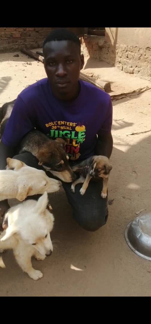  Raising funds to Building a forever home for rescued animals