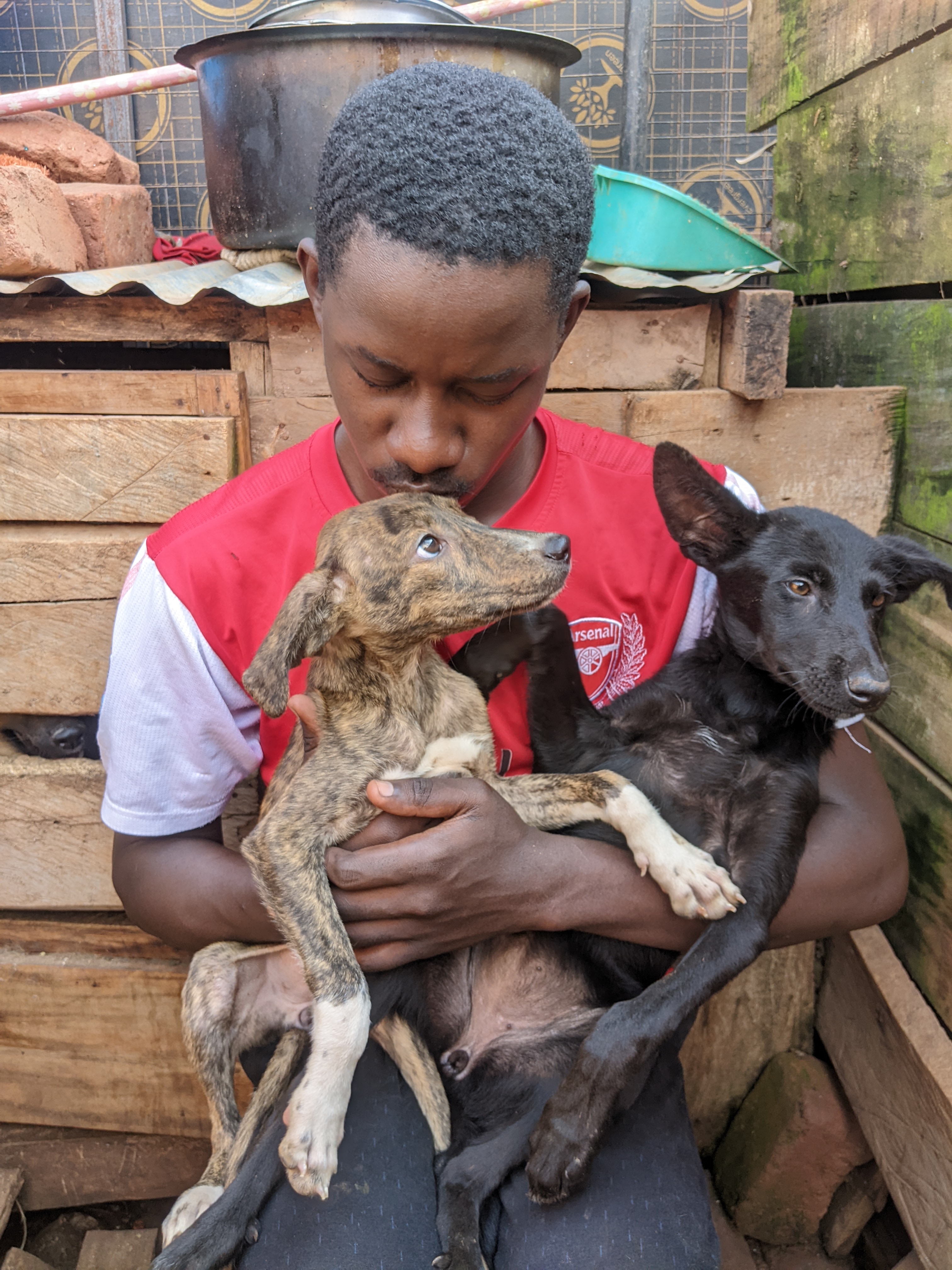 Vaccinate Our Furry Friends This August