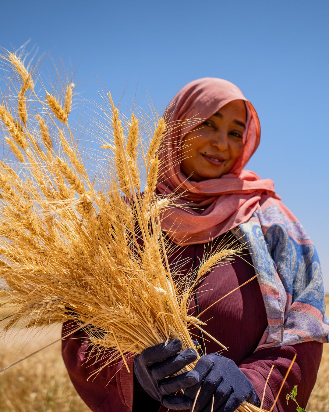 Aid for Cancer Medication 