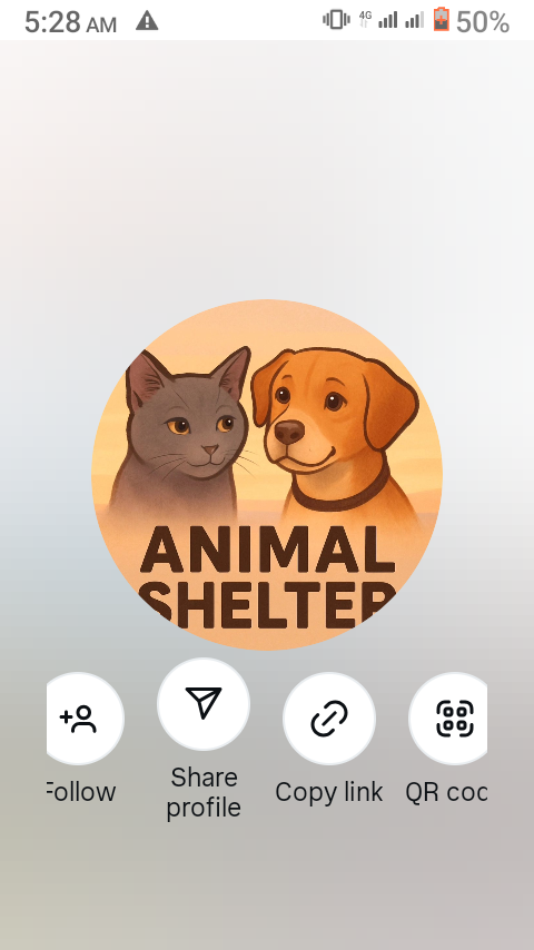 Save Street Dogs and Cats With $10 Dollars 