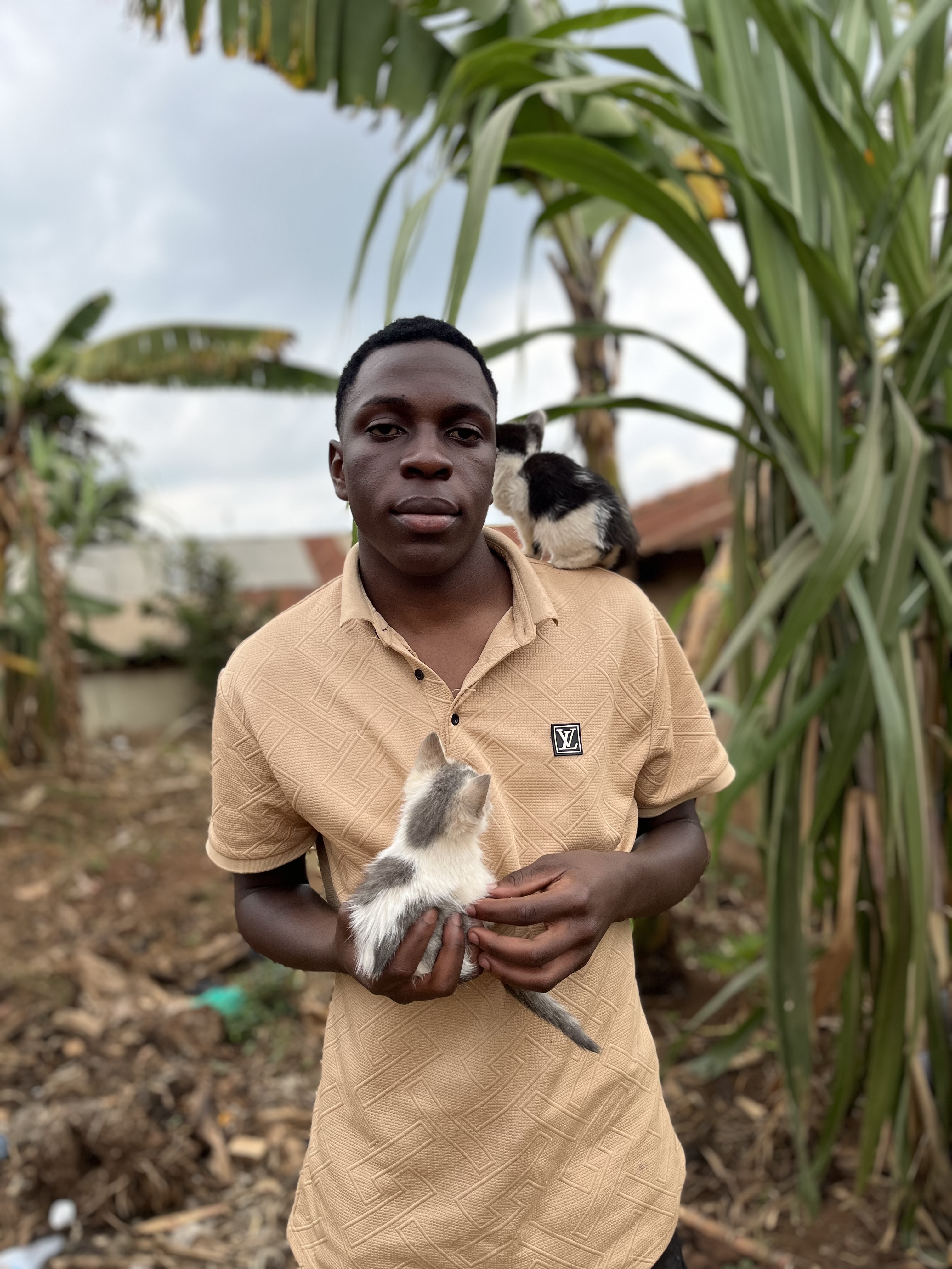 Help kamoga feed 22 stray cats 