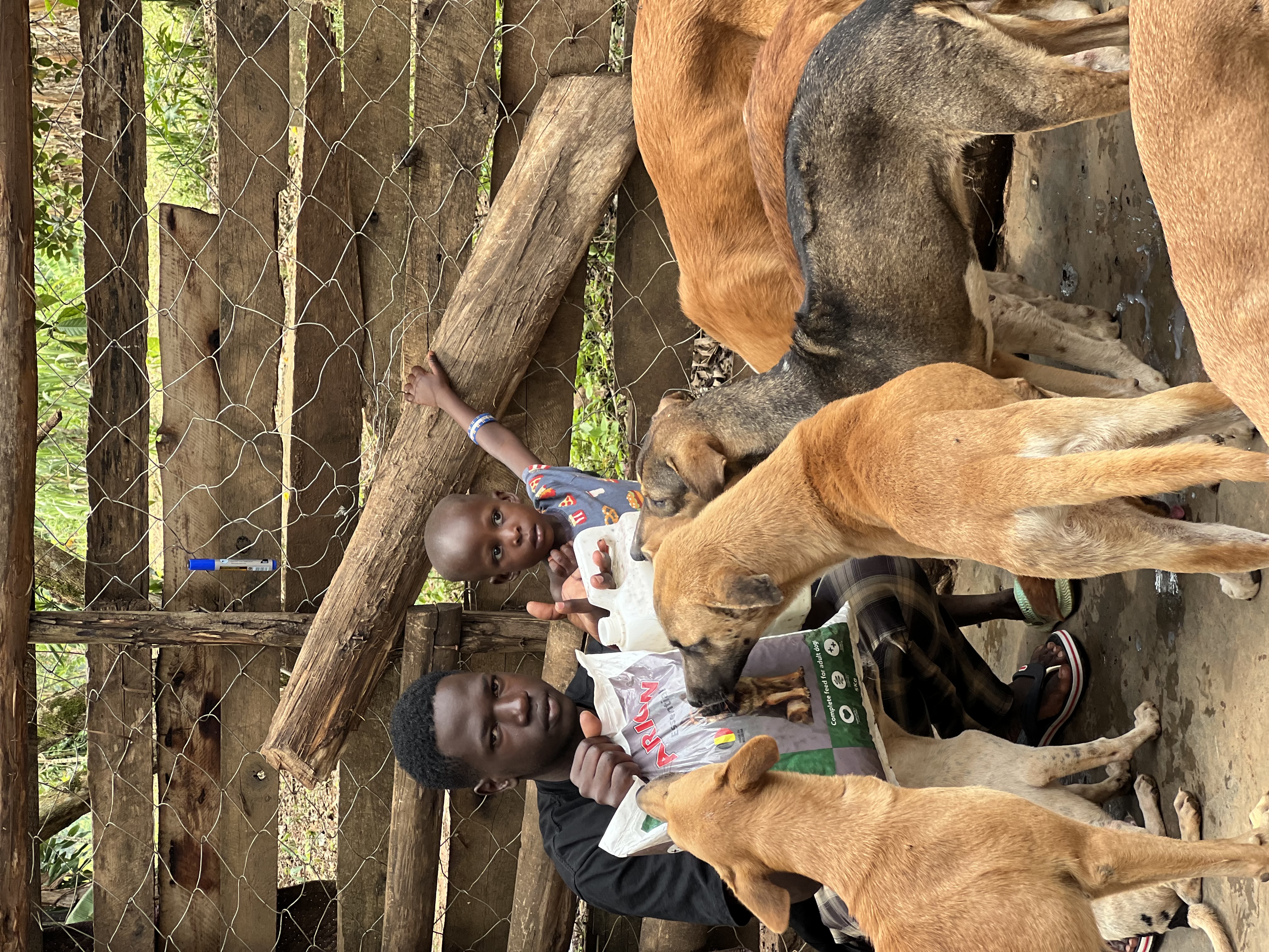 Bowls of Love: Feeding Hungry Pets