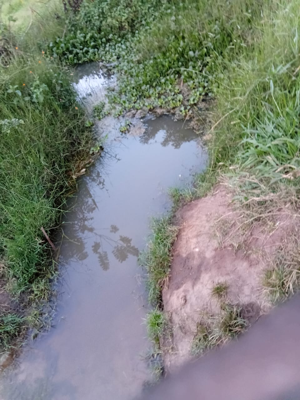 Donate for water, Save lives