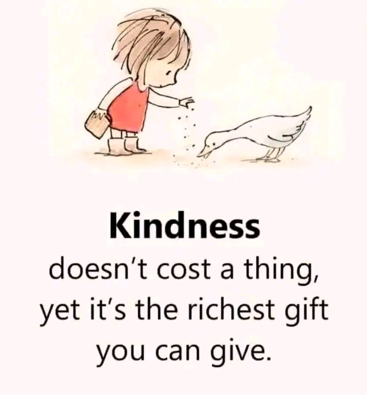 Monthly budget for the organization 