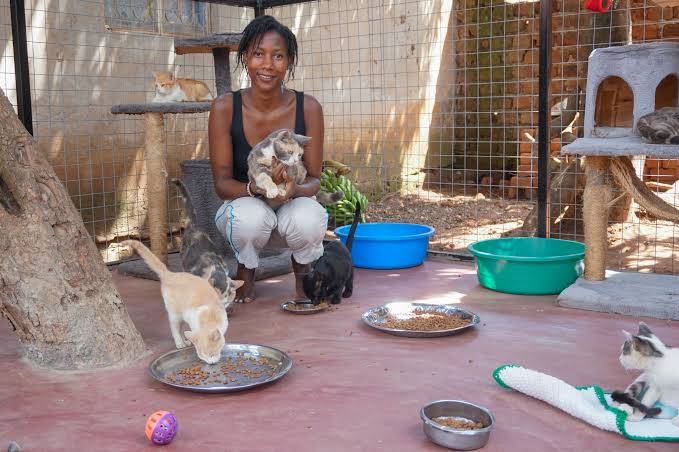 Animal Rehabilitation Center