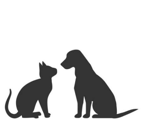 SUPPORT All_cats_can_be_saved