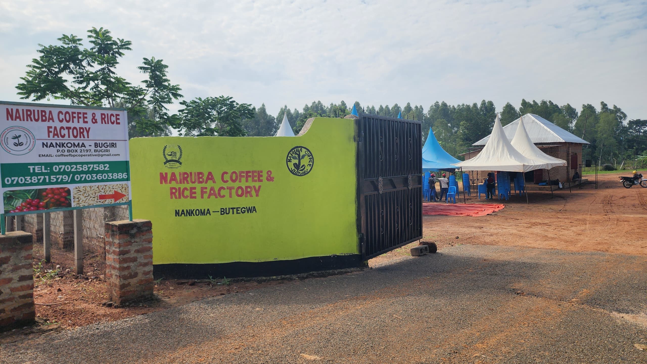 Coffees  quality  improvement