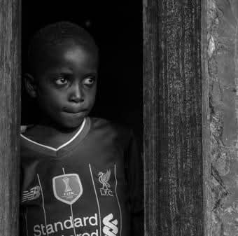 Hope for KATO:Giving him a chance to live and thrive