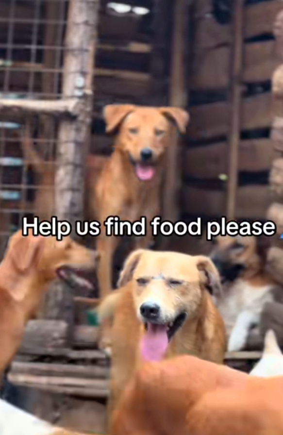 Save a thousand dreams with a single step