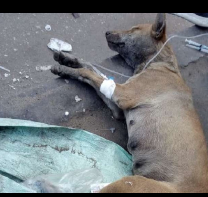 Please, people with compassionate hearts, help Sandy return to life with her children.