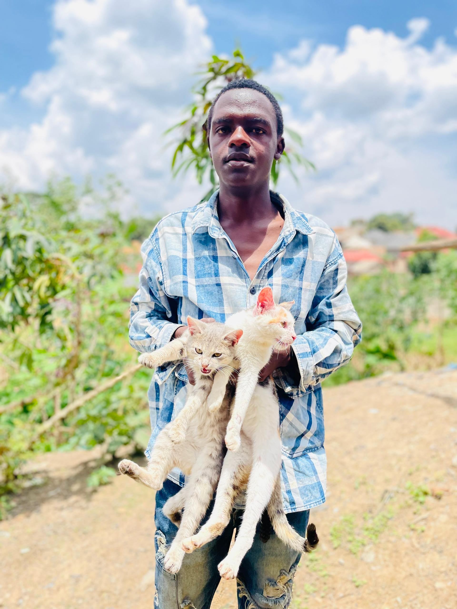 SAVE CATS AND DOGS🐈🐕