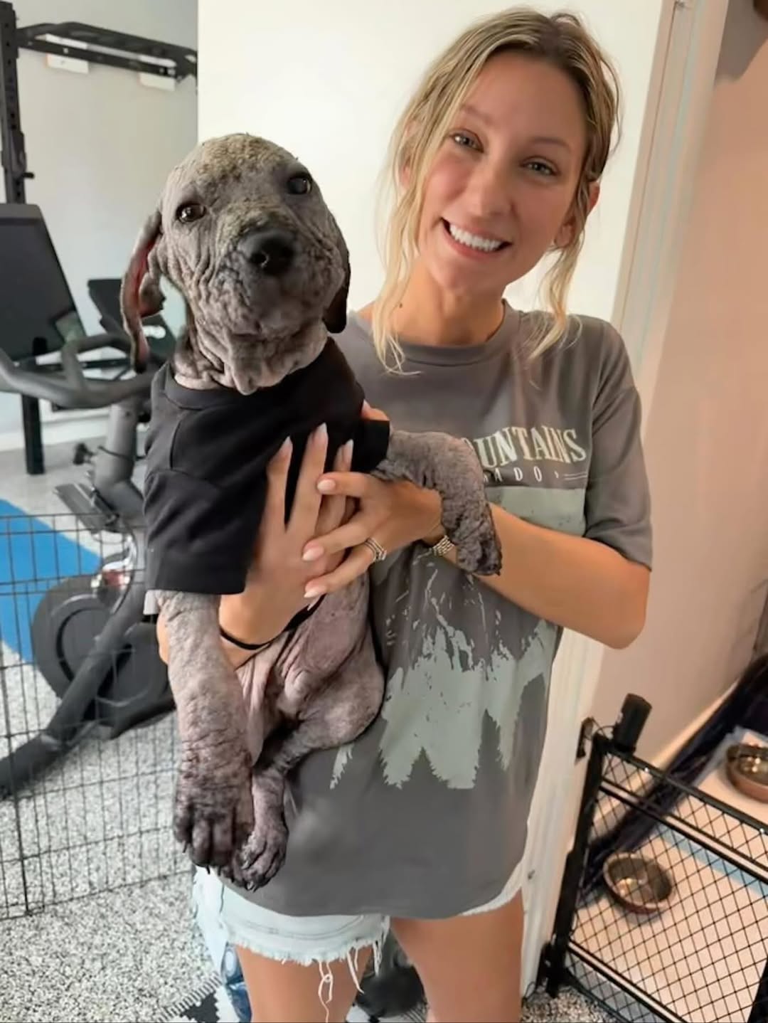 Help Furry friends Rescue