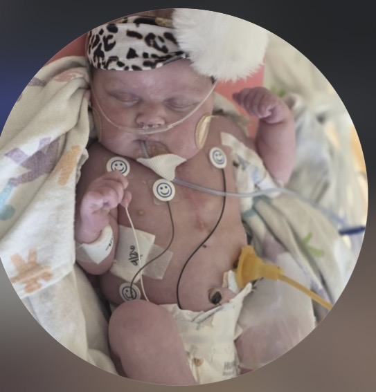 Alice heart foundation