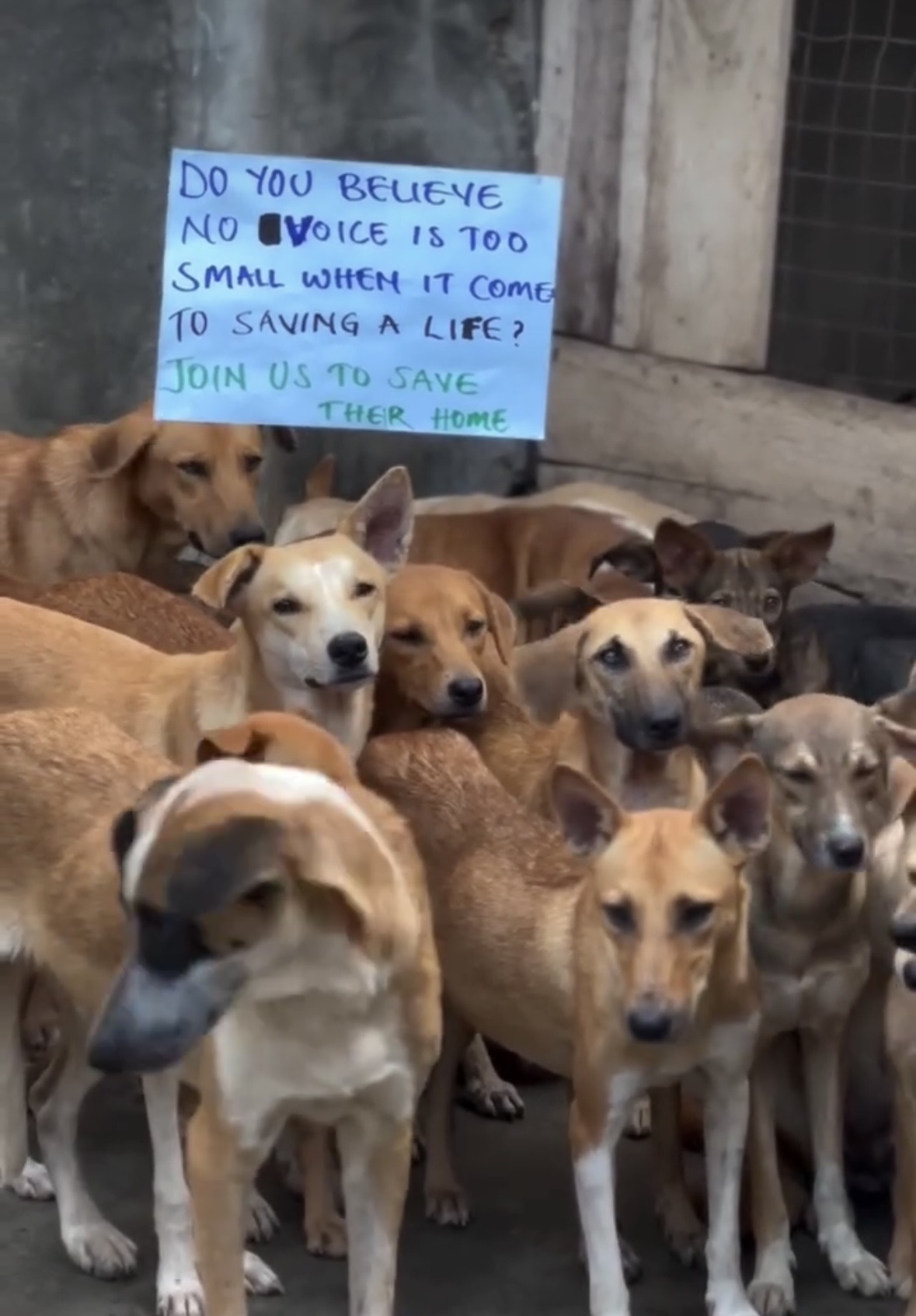 Medication, urgent food and shelter