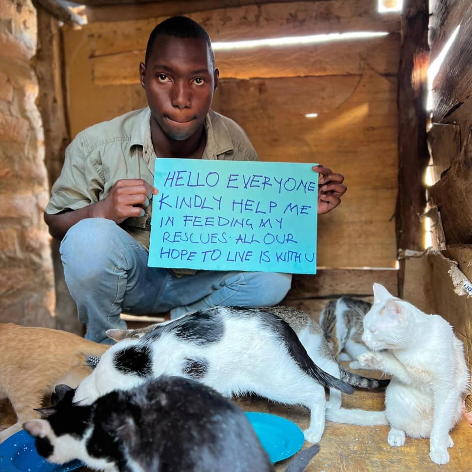 Hope for hungry cats