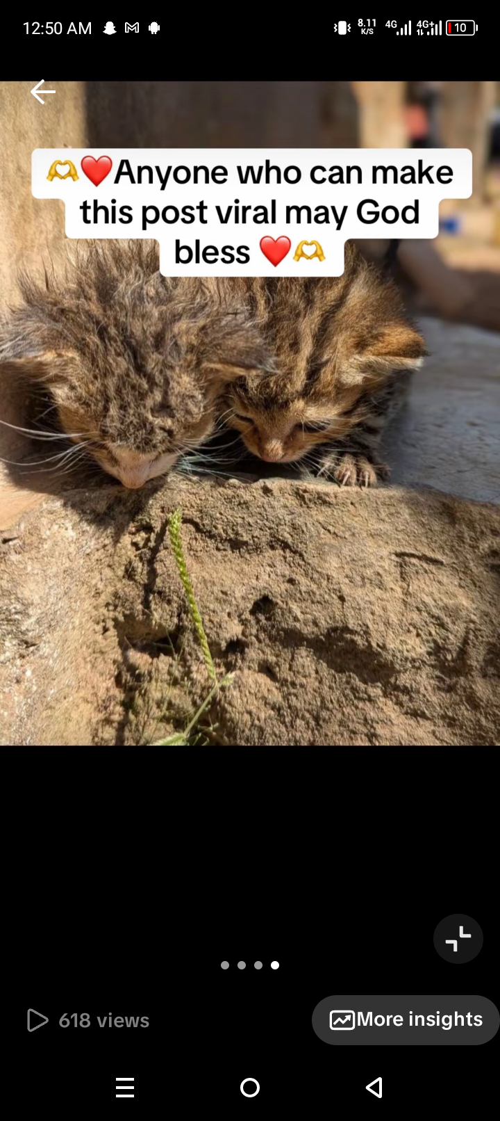 All cats can be saved ug1