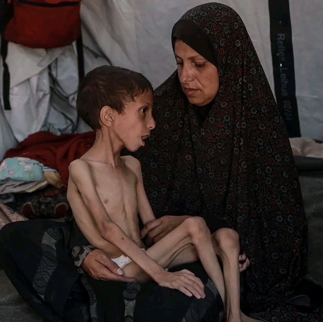 Help my Family during a war in Gaza